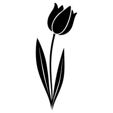 Tulip Silhouette