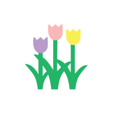 Tulip Trio Spring Garden Flowers