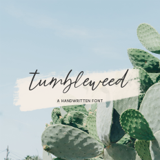 Tumbleweed Script Font