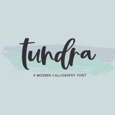 Tundra Script Font