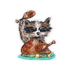Turkey Raccoon