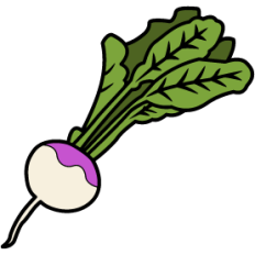 Turnip