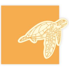 Sea Turtle Folded Card 