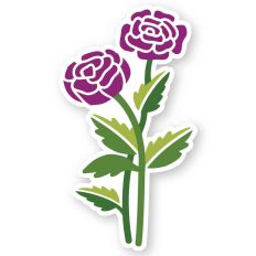Two flowers