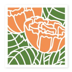 Two Peonies - Square