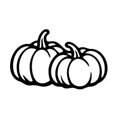 Two pumpkins