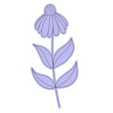 Black-Eyed Susan Coneflower Sketch Design