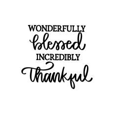 Wonderfully Blessed Incredibly Thankful