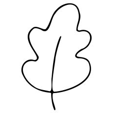 Sketch Oak Leaf