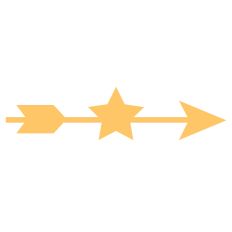 Star Arrow