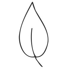 Outline Sketch Leaf