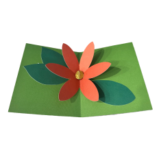 Poinsettia Pop Up Card