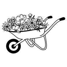 Flowers in wheelbarrow 1