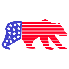 Patriotic Bear