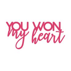 Valentines Day You Won My Heart