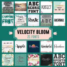 Velocity Bloom 21