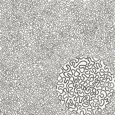 VERMICULAR BLACK WORM LIKE SQUIGGLY LINART NO REPEAT – RABEA