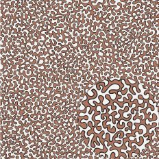 OUTLINED BROWN VERMICULARS NO REPEAT – RABEA BILZ