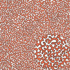 OUTLINED ORANGE VERMICULARS NO REPEAT – RABEA BILZ