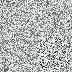 OUTLINED GREEN GRAY VERMICULARS NO REPEAT