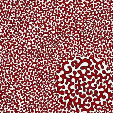OUTLINED  RED VERMICULARS NO REPEAT – RABEA BILZ