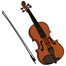Viola