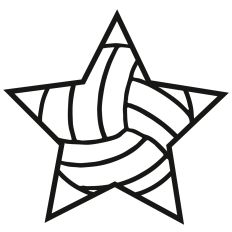 Volleyball Star