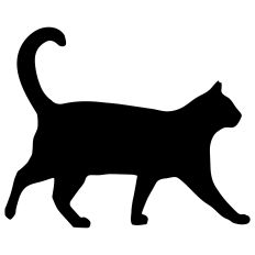 Black Cat Silhouette