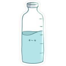 Water Bottle