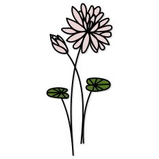 Water Lilly Birth Flower