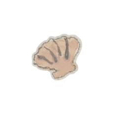 Watercolor Clam Shell Beach