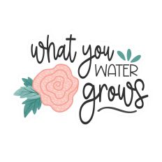 What You Water Grows – Inspirational Floral Print & Cut Sticker Design for Silhouette Studio