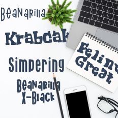 What's Up Dude Font Bundle