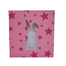 box rectangular bunny easter