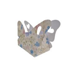 butterfly box