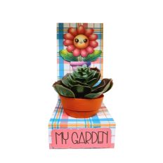 garden box
