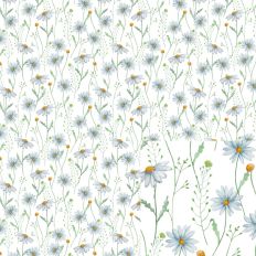 daisies