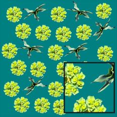 Wild Herbs Pattern Teal