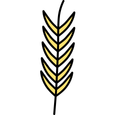 Wheat