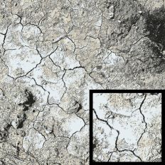 White Crackle Background
