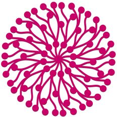 Wild Berry Branches Mandala