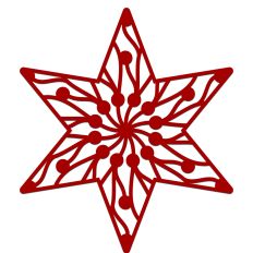 Wild Berry Branches Geometric Star