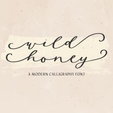 Wild Honey Script with Swashes