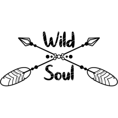 wild soul with boho arrows