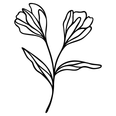 Abstract Line Art Flower