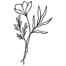 Flower Line Art