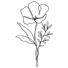 Floral Line Art