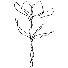 Flower Line Art
