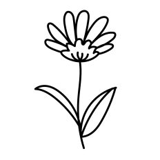 Chrysanthemum Hand-drawn Flower - for Mother's Day DIY projects Silhouette Studio