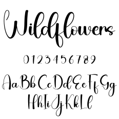 Wildflowers